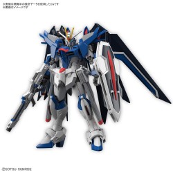 Hg Gundam Rising Freedom